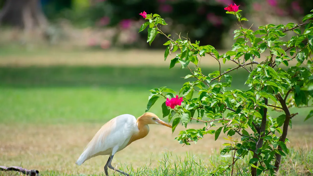 Which Are the Best Day Trips from Hyderabad for a Relaxing Break?